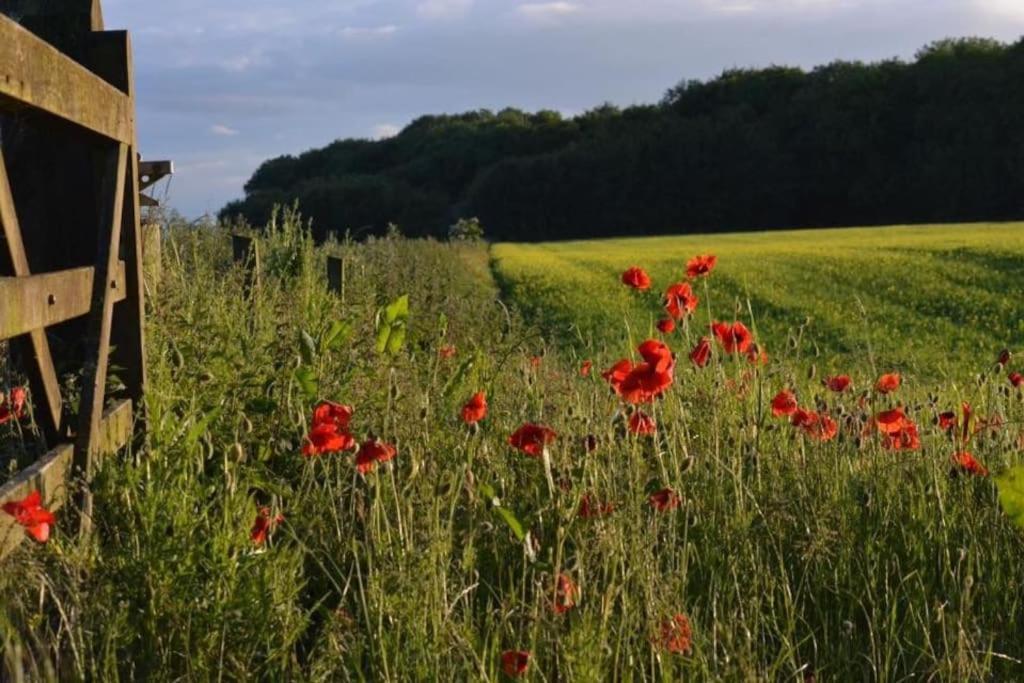 Relaxing Retreat On The Edge Of The Cotswolds Holiday home Kingswood (Stroud, Gloucestershire)