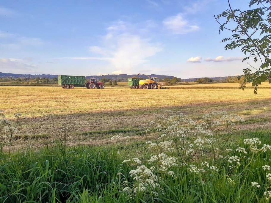 Relaxing Retreat On The Edge Of The Cotswolds Kingswood (Stroud, Gloucestershire)